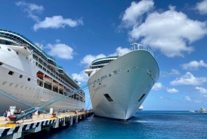 London: Privat transport til Southampton havn