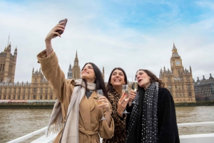 Londres : Croisière nocturne sur la Tamise avec bulles et canapés
