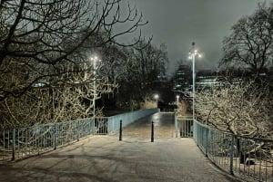 Londres : visite nocturne à pied du quartier royal de Westminster