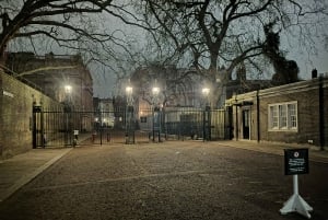 Londres : visite nocturne à pied du quartier royal de Westminster