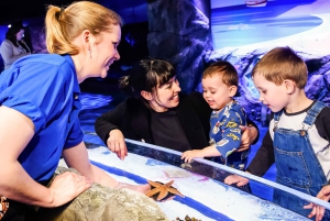 Лондон: входной билет в SEA LIFE