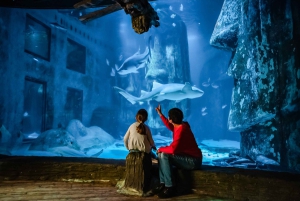 Лондон: входной билет в SEA LIFE