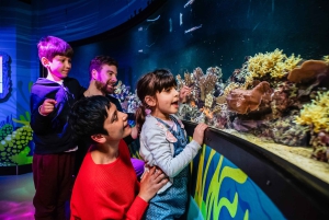 Лондон: входной билет в SEA LIFE