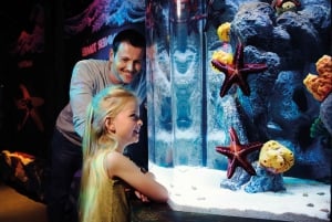 Londyn: bilet łączony SEA LIFE i London Eye