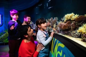 Londyn: bilet łączony SEA LIFE i London Eye