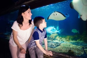 Londyn: bilet łączony SEA LIFE i London Eye