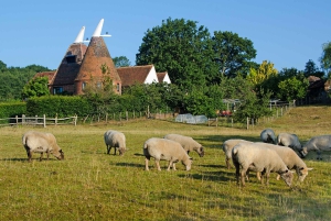 Londres: Excursión en grupo reducido a Canterbury, Dover y pueblos de Kent