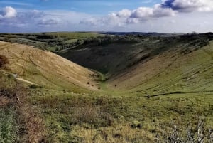 Lontoo: South Downs White Cliffs -päiväretki junalipuilla