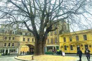 Londres: tour de 1 día a Stonehenge, Bath, Windsor y las termas romanas