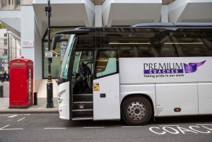 Londres : visite matinale ou après-midi de Stonehenge, déjeuner en option