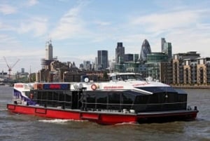 Londen: Taxi 50+ Bezienswaardigheden Privétour & Theems rondvaart