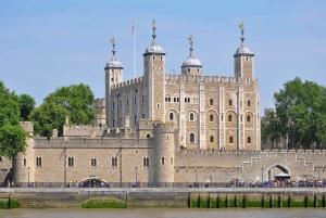 Recorrido turístico en taxi por Londres para mayores de 50 años y entrada al Palacio de Kensington