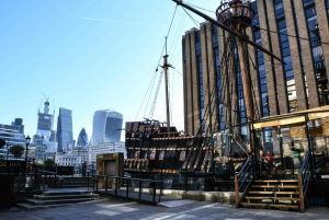 Londra: Tour a piedi delle 30 attrazioni principali e mostra sul Tower Bridge