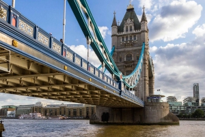 Londres : Visite privée du Tower Bridge et de la Tour de Londres