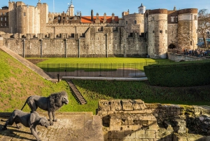 Londres : Visite privée du Tower Bridge et de la Tour de Londres