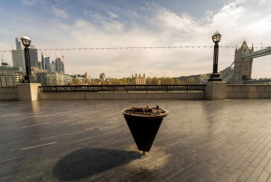 Londres : Visite privée du Tower Bridge et de la Tour de Londres