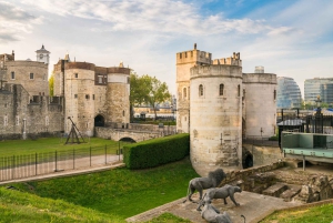 Londres: Tour guiado de la Torre de Londres con opción a las Joyas de la Corona