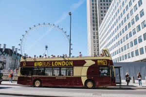 Londres: Torre de Londres, autocarro hop-on hop-off e cruzeiro no rio