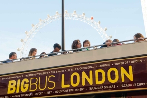 Londres: Torre de Londres, autocarro hop-on hop-off e cruzeiro no rio