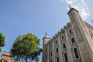 Londen: Ultieme Welkom in Londen sightseeingtour