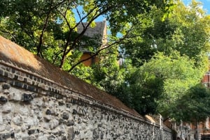 Londres: tour a pie por Westminster detrás de la abadía