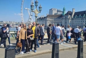 London: Westminster Highlights Black Cab Tour with Pickup