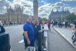 London: Westminster Highlights Black Cab Tour with Pickup