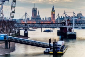 Lontoo: Westminsterin yksityinen kävelykierros & Lontoon torni: Westminster Private Walking Tour & Tower of London