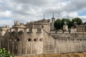 Lontoo: Westminsterin yksityinen kävelykierros & Lontoon torni: Westminster Private Walking Tour & Tower of London