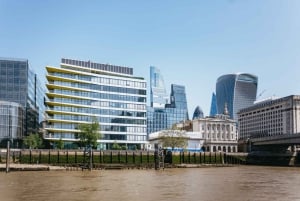 Londra: Crociera sul Tamigi da Westminster a Greenwich