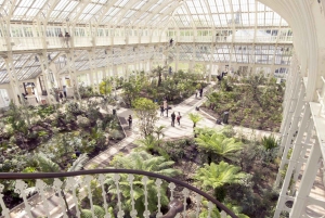 Londra: Tour a piedi di Westminster e visita ai Kew Gardens