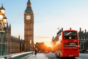 Londra: Tour a piedi di Westminster e visita ai Kew Gardens