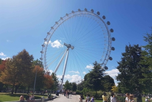 Londra: Tour a piedi di Westminster e visita ai Kew Gardens