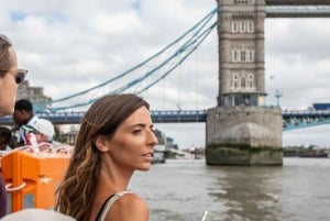 Londres: Tour a pie por Westminster y visita al Puente de la Torre