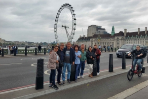 Private Luxustour in London mit Mittagessen