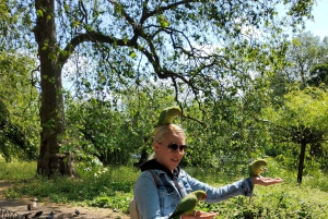 Private Luxustour in London mit Mittagessen