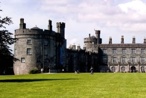 Luksusutflukt fra Waterford (Dunmore East)