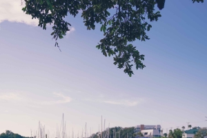 Melbourne: Aluguer de barcos na Indian River Lagoon