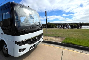 Melbourne: Great Ocean Road Extended – Top Stops & London Bridge