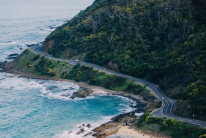 Melbourne: Great Ocean Road Extended – Top Stops & London Bridge