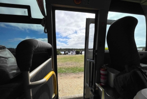 メルボルン：グレート・オーシャン・ロードと象徴的な海岸の景色を楽しむ1日ツアーをお楽しみください