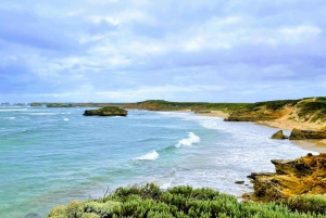 メルボルン：グレート・オーシャン・ロードと象徴的な海岸の景色を楽しむ1日ツアーをお楽しみください