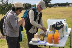 Мельбурн: главные достопримечательности Великой океанской дороги за один день