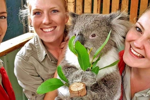 Melbourne Highlights & Aussie Wildlife Express Tour