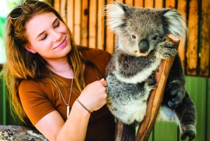 Melbourne Highlights & Aussie Wildlife Express Tour