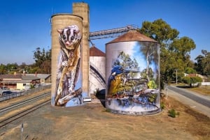 Melbourne: Passeio de barco a vapor pelo rio Murray, vinho e vida selvagem