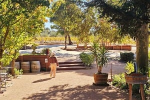 Melbourne: Passeio de barco a vapor pelo rio Murray, vinho e vida selvagem