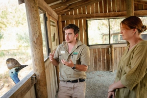 Melbourne: Passeio de barco a vapor pelo rio Murray, vinho e vida selvagem