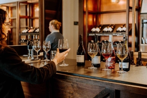 Melbourne: Passeio de barco a vapor pelo rio Murray, vinho e vida selvagem