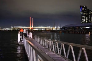 Melbourne: Nocna prywatna wycieczka po mieście z transferem i przystankami